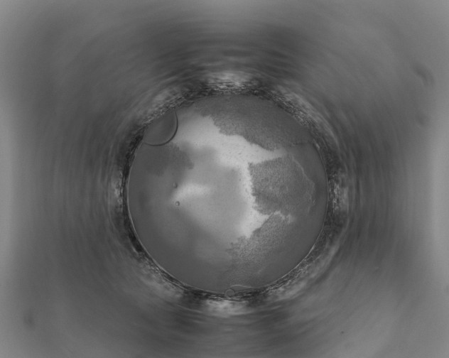 X0000112090561200908181306