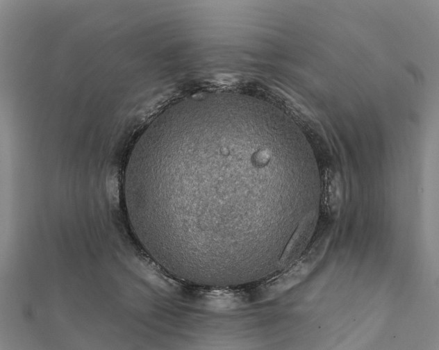 X0000112090562200908181306