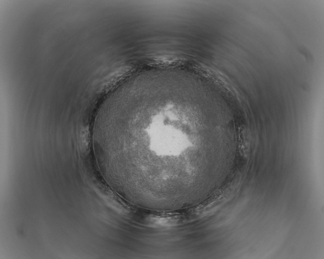 X0000112090563200908181306