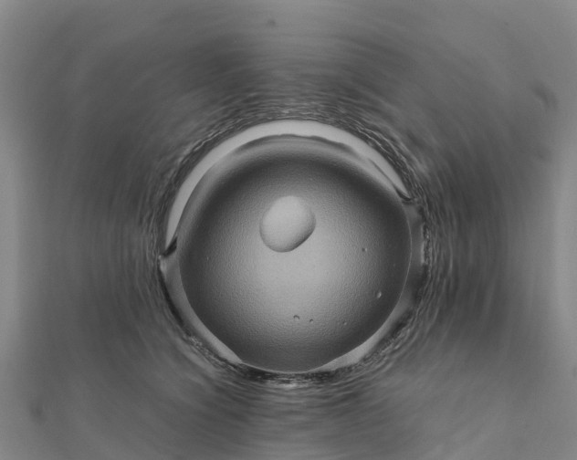 X0000112090564200908181306