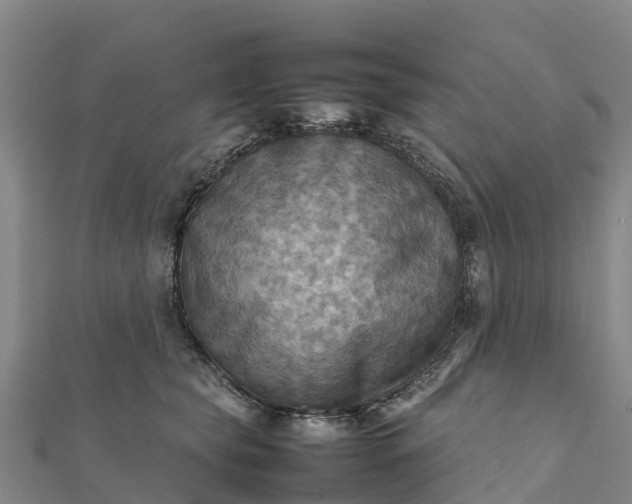 X0000112090565200908181306