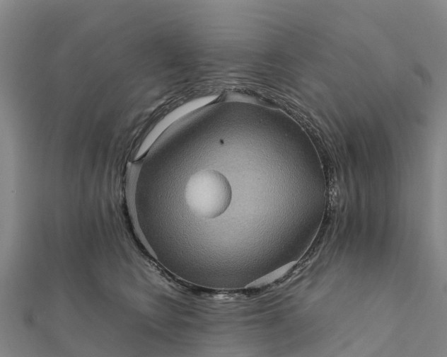 X0000112090566200908181306