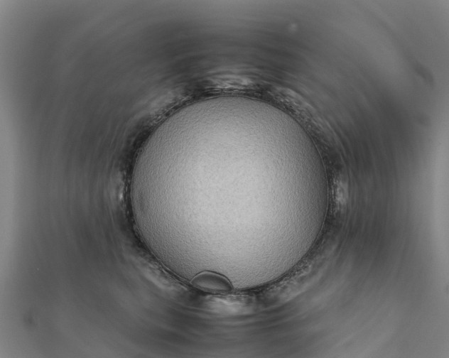 X0000112090567200908181306