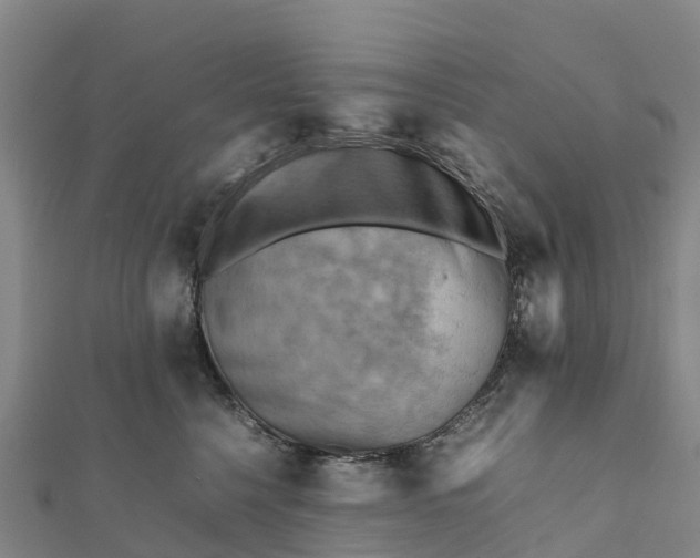 X0000112090568200908181306