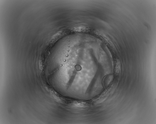 X0000112090569200908181306