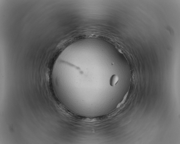 X0000112090570200908181306