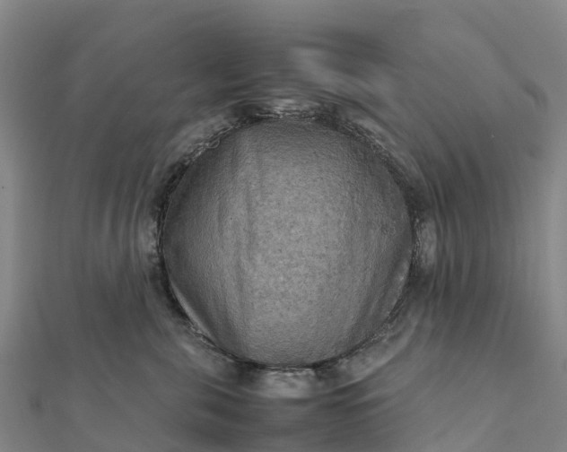 X0000112090571200908181306