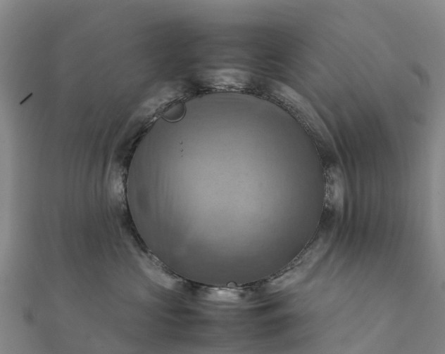 X0000112090573200908181306