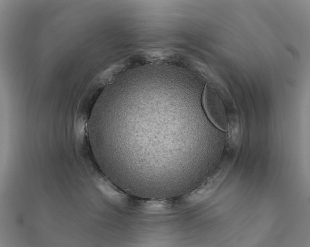 X0000112090574200908181306