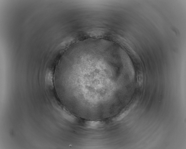 X0000112090575200908181306