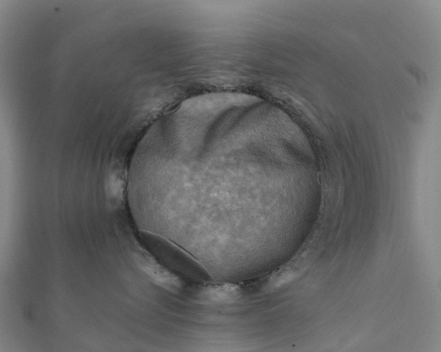 X0000112090576200908181306