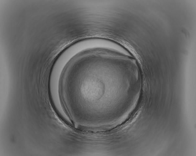 X0000112090577200908181306