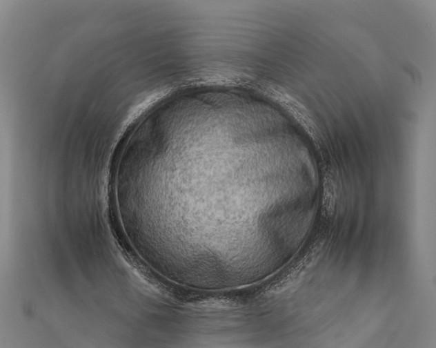 X0000112090578200908181305