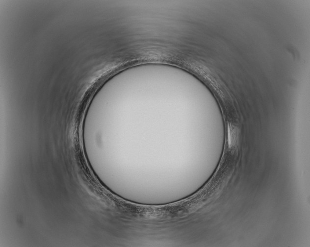 X0000112090579200908181305