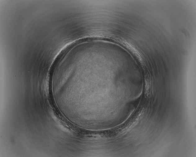 X0000112090580200908181305