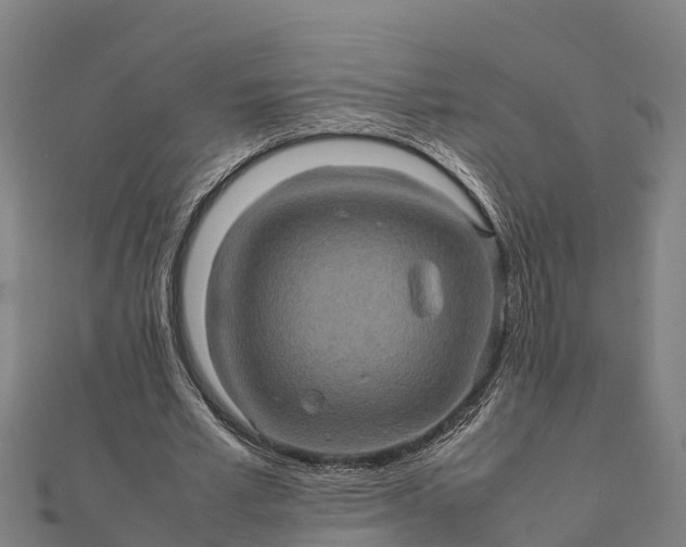 X0000112090581200908181305