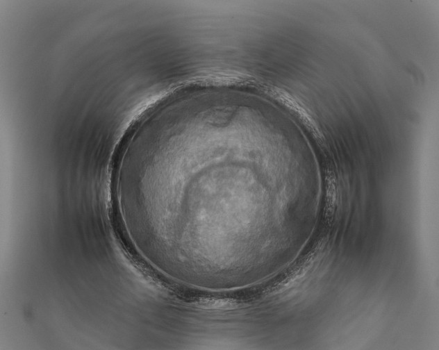 X0000112090582200908181305