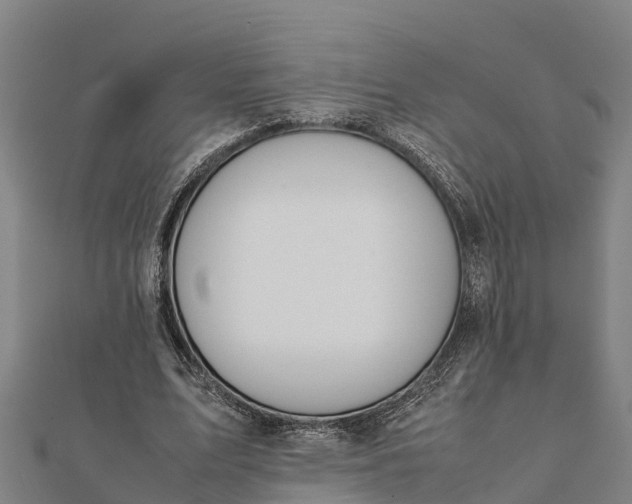 X0000112090583200908181305