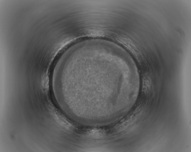 X0000112090584200908181305