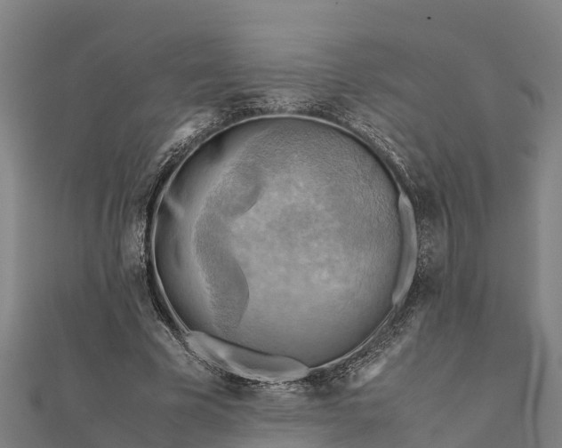 X0000112090585200908181305