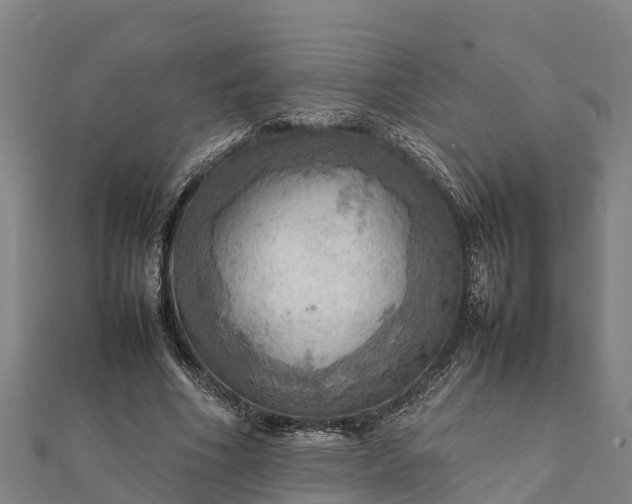 X0000112090586200908181305