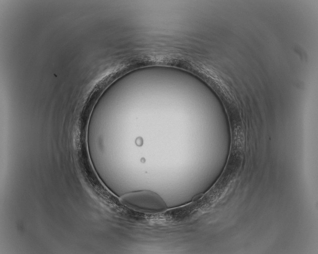 X0000112090587200908181305