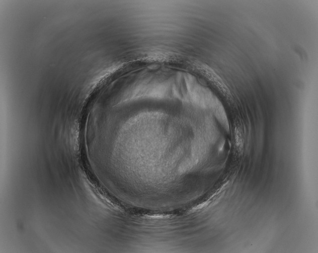 X0000112090588200908181305