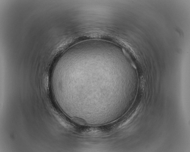 X0000112090589200908181305