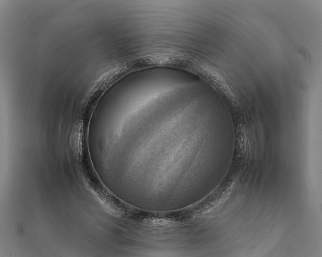 X0000112090590200908181305