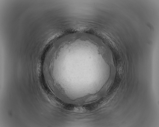 X0000112090591200908181305