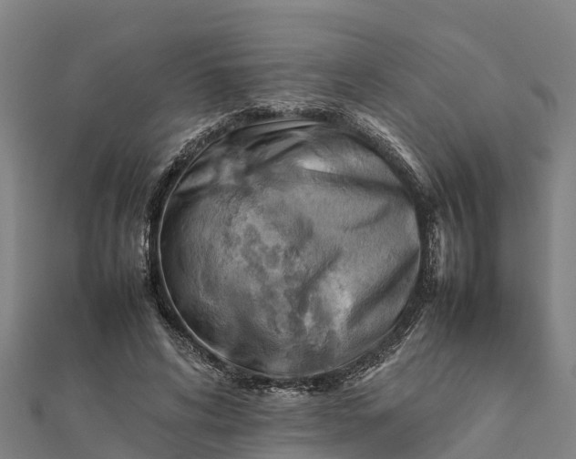 X0000112090592200908181305