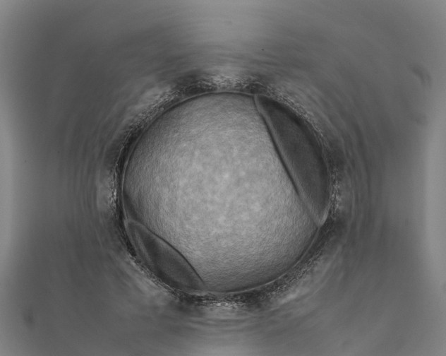 X0000112090593200908181305