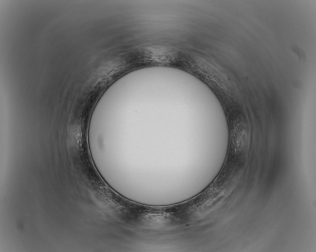 X0000112090595200908181305