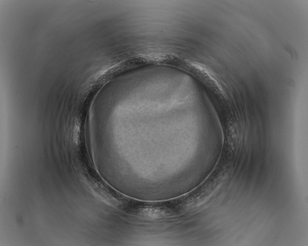 X0000112090596200908181305