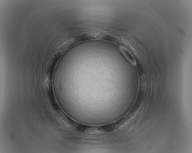 X0000112090597200908181305