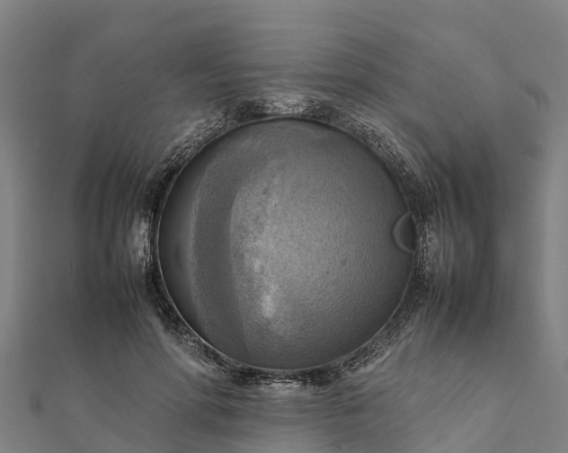 X0000112090598200908181305