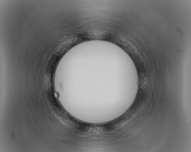 X0000112090599200908181305