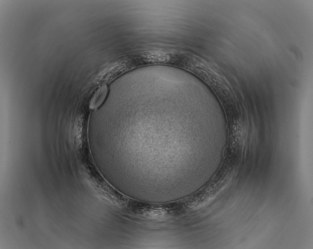 X0000112090600200908181305