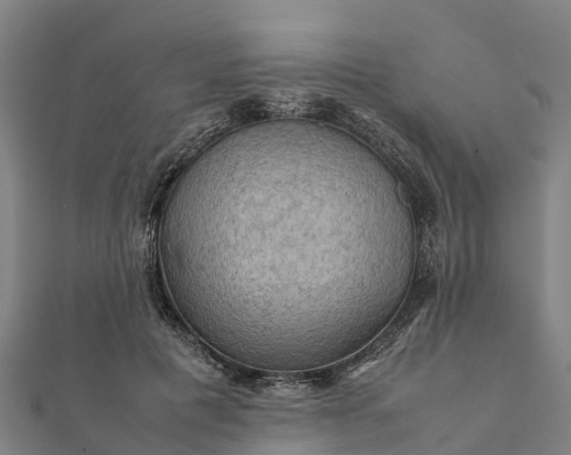 X0000112090601200908181305