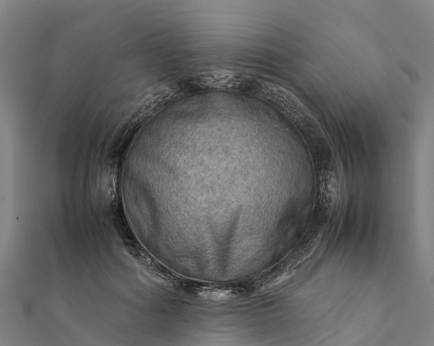 X0000112090602200908181305