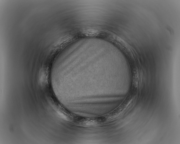 X0000112090604200908181305