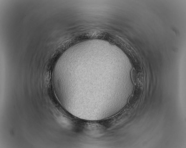 X0000112090605200908181305