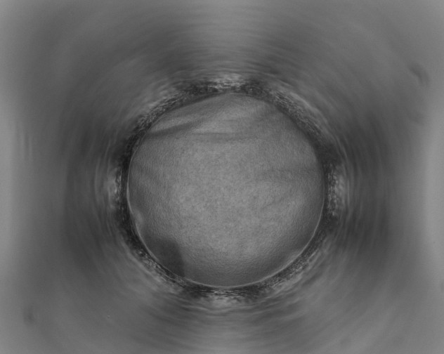 X0000112090608200908181305