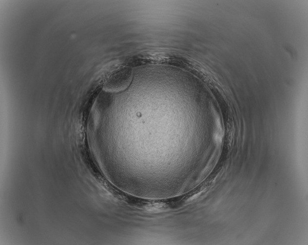 X0000112090609200908181305