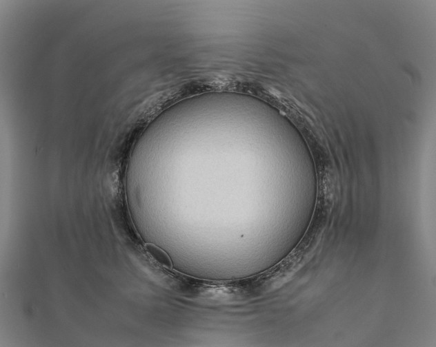 X0000112090611200908181305