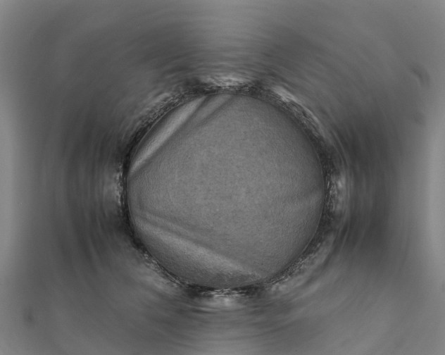 X0000112090612200908181305