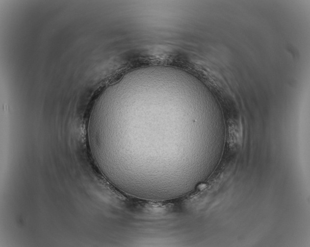 X0000112090613200908181305