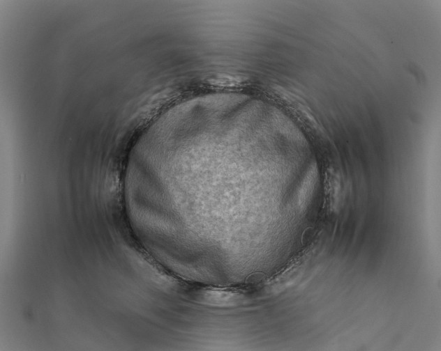 X0000112090614200908181305