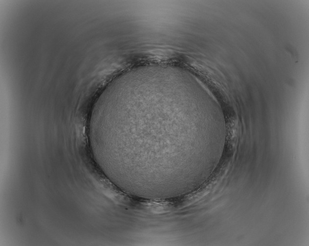 X0000112090615200908181305