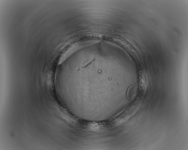 X0000112090616200908181305